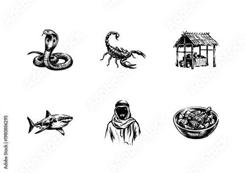 Desert Culture and Wildlife Elements with Hand-Drawn Inky Doodle and Organic Calligraphic Strokes