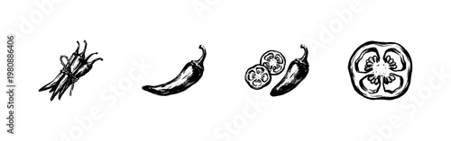 Hot Chili Peppers and Spicy Vegetable Ingredients in Hand-Drawn Inky Brushstroke Style