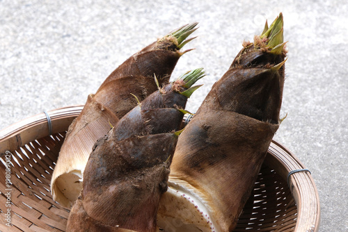 籠に入れた採れたての筍