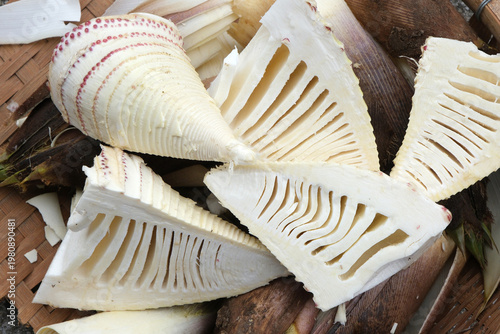 皮を剥がした採れたての筍