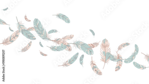 Beautiful soft feathers in shades of blue and pink floating gracefully across a white background for a gentle and light aesthetic design project.