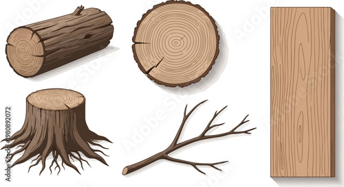 Natural wood timber collection with pine log, tree stump, cross section slice, branch and wooden plank. Organic lumber materials set, forest wood industry vector elements.