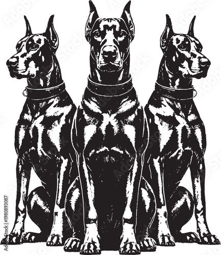 Foto Full body Doberman dog illustration black and white