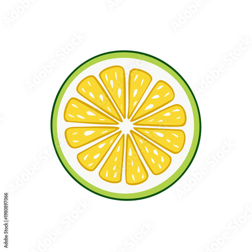 Vibrant Lime Slice Illustration with a Fresh Citrus Center and Green Peel