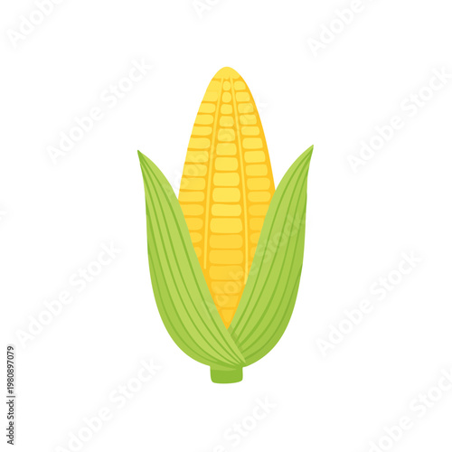 Fresh Corn Cob with Green Husk and Yellow Kernels