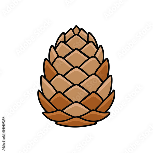 Illustration of a single brown pine cone with clearly defined scales and outline