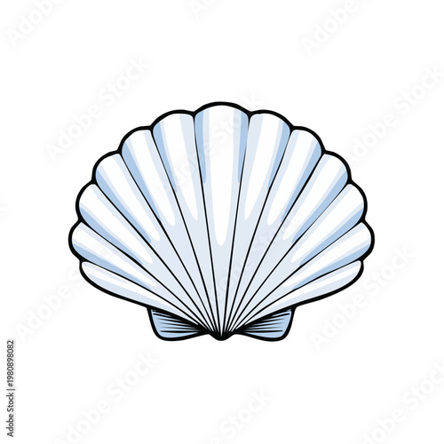 Stylized illustration of a classic white scallop seashell with delicate lines and a subtle blue tint