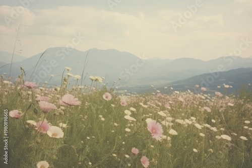 Flower filed landscape grassland mountain.
