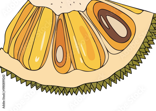 Durian fruit cut open showing flesh.
