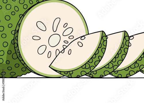 Illustration of sliced green melons.