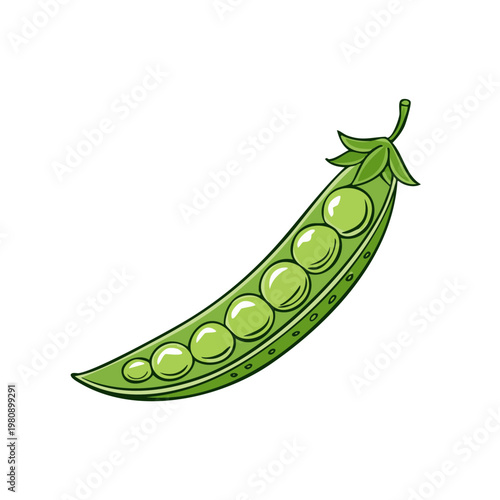 Fresh green pea pod with plump round peas inside a vibrant natural illustration