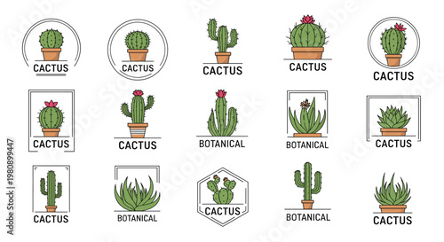 Selection of stylish cactus and botanical logos in pots with clean lines and modern frames for plant shops and garden branding.