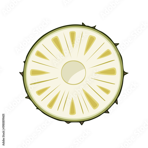 Top view illustration of a sliced kiwano fruit showing its segmented pulp and seeds