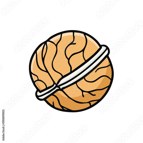 Stylized cartoon drawing of a whole walnut with a white ring around it