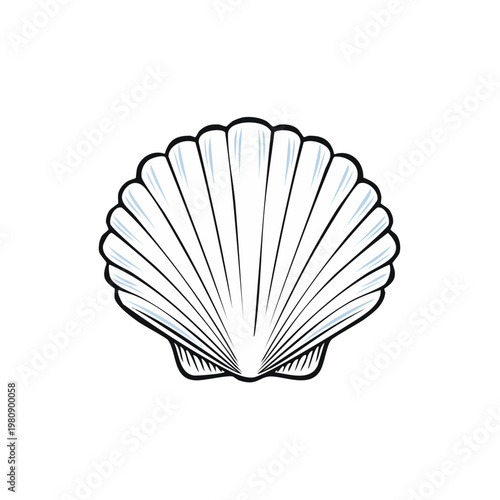 Simple Line Drawing of a Scallop Shell with Radial Ribs and Outline