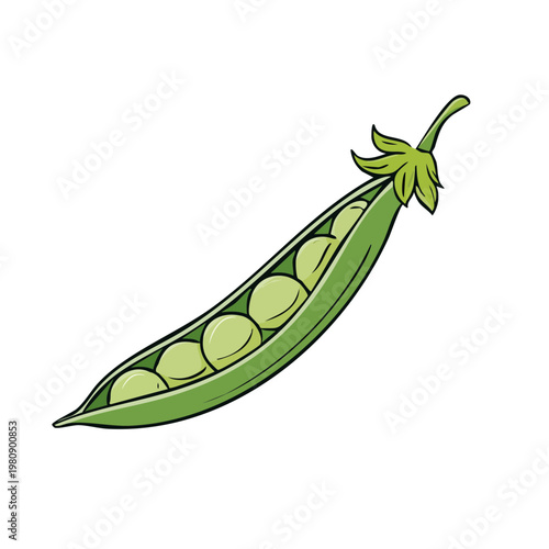 Open Pea Pod with Green Peas Inside Vector Illustration Isolated on White Background