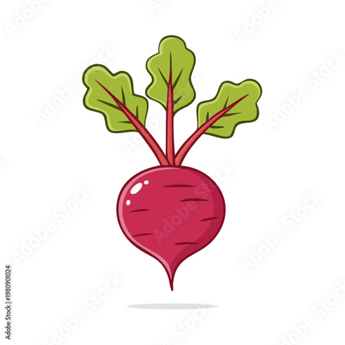 Vibrant cartoon illustration of a single ripe beetroot with green leaves on a white background