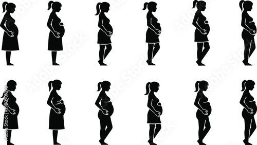 Pregnancy progression a visual timeline of a growing belly
