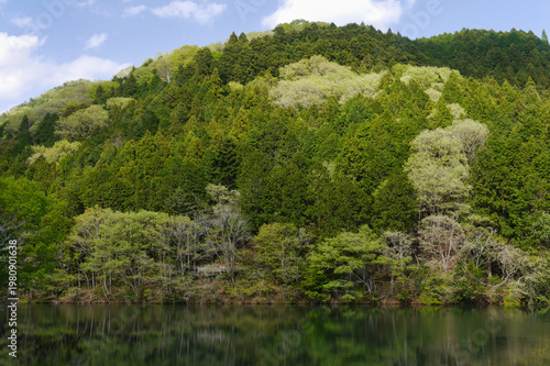Lush green mountains reflected on calm water, fresh spring landscape with natural symmetry