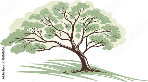A stylized illustration of a mature tree with a broad canopy of green leaves and a sturdy brown trunk on a grassy hill.