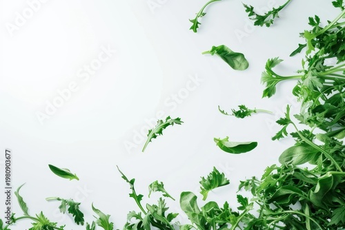 Flying green vegetables backgrounds parsley plant.