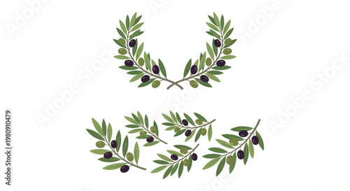 Two olive branches with fruit and a scattering of loose olives