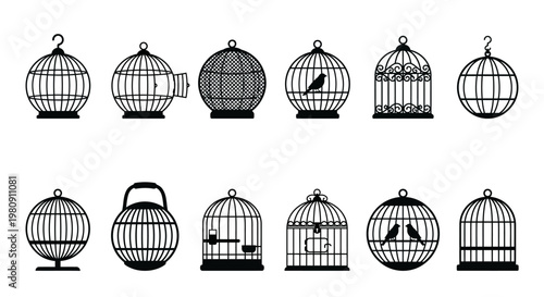 Collection of decorative birdcages in a simple black and white style