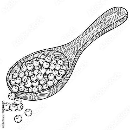 Hand drawn Illustration of a Spoon Filled with Small Round Grains or Beads