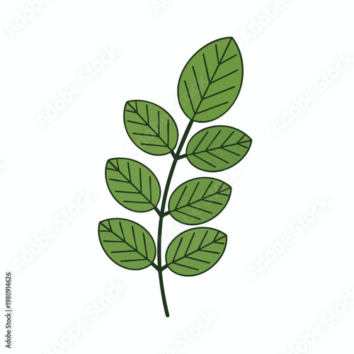 Fresh Green Leafy Plant for Natural and Eco Friendly Designs