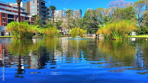 View of a Pond in Burwood Park with Burwood Building Skyline a Sydney suburb  blue skies NSW Australia