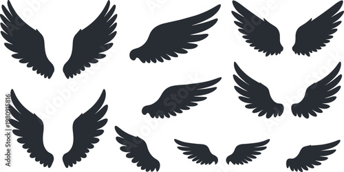Black Eagle and Angel Wing Silhouette Vector Collection with Feathers and Outspread Flight Symbols for Tattoo Designs,