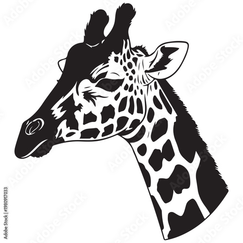 Giraffe head and neck profile vector illustration in black and white silhouette style for wildlife logo design