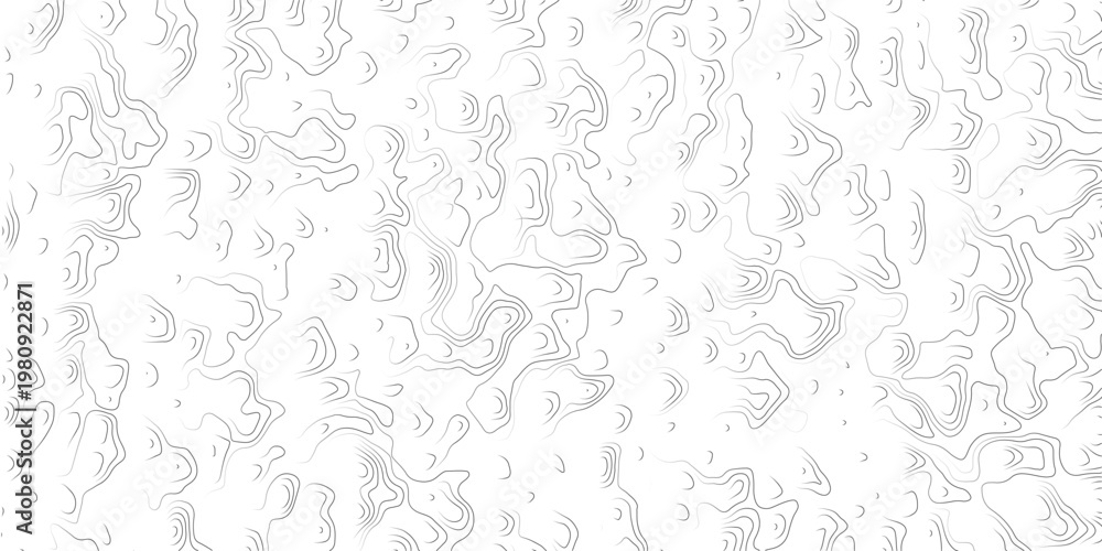 Fototapeta premium Abstract topographic map contours on white background grey lines pattern