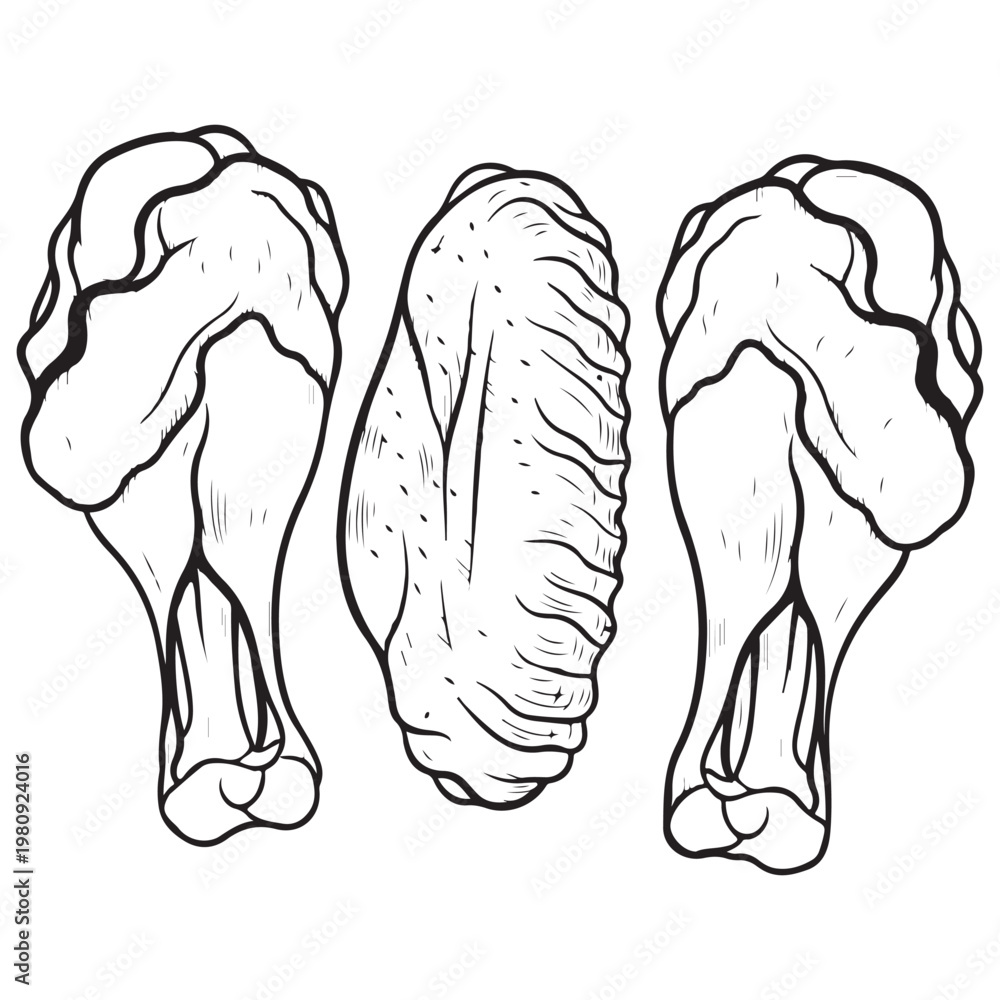 Obraz premium Fried chicken drumsticks and wing hand drawn vector illustration for fast food menu design
