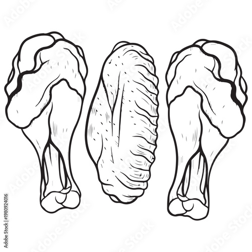 Fried chicken drumsticks and wing hand drawn vector illustration for fast food menu design