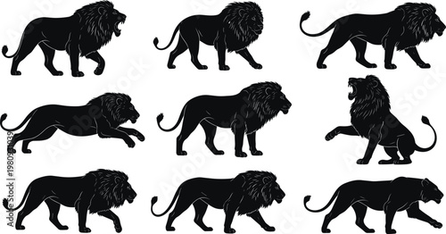 Lion silhouettes, animal posture figures, wildlife illustration vector, predator movement concept art, nature design icon, majestic beast stance