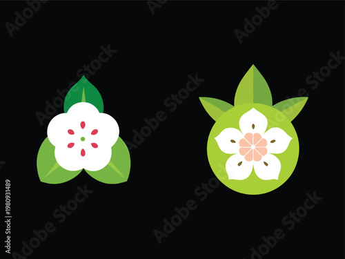 Cartoon flowers with green leaves on dark background  white petals and red centers