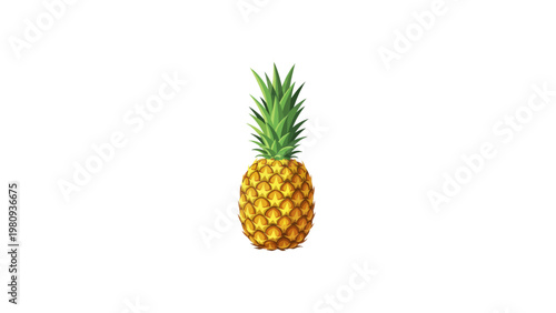 Fresh Pineapple Fruit Isolated on White.
