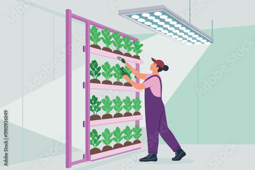 Vertical Farm Indoor Hydroponic Setup Scene Vecto