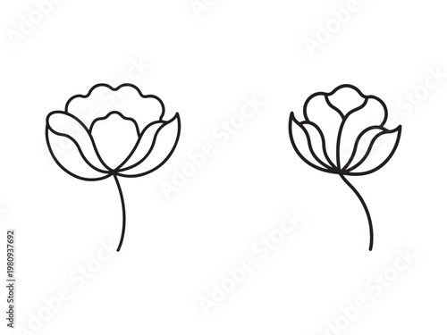 Simple line drawing of two lotus flowers with leaves on stems  minimalist floral design elements