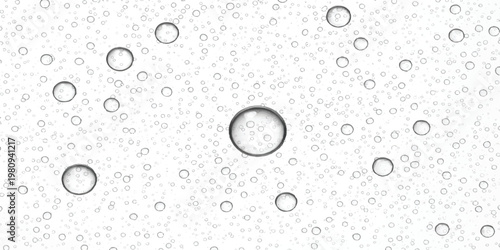 Realistic water droplets on a clear glass surface isolated on white background vector illustration design
