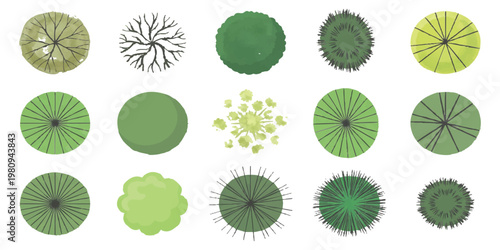 Set of diverse top view tree symbols for architectural landscape design and site planning vector illustration