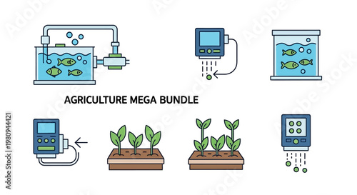 Hydroponic system with young plants growing.