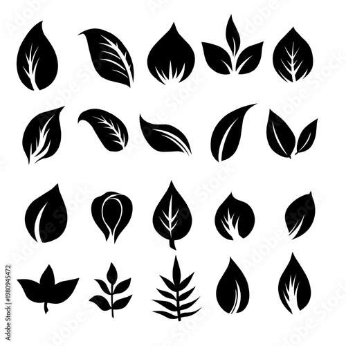 set of black leaves