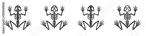 Sketch Frog Skeleton icon design set