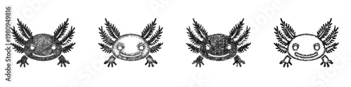 Sketch Axolotl Face icon design set
