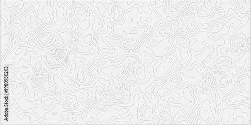 Abstract Elevation Map Contour Line Design with Detailed Layered Curve Structure
Modern Geographic Topography Background Pattern with Clean Visual Balance