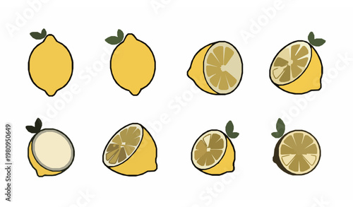 Minimal cartoon lemon icon set vector with citrus fruit slices and simple character design