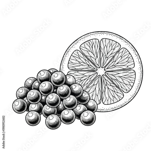 Fresh Lemon Slice and Juicy Lemon Fruits for Health and Refreshment