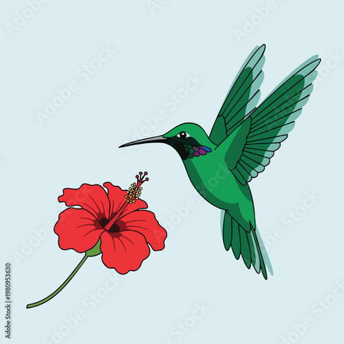 Elegant Green Hummingbird Near Vibrant Red Flower in Nature Scene